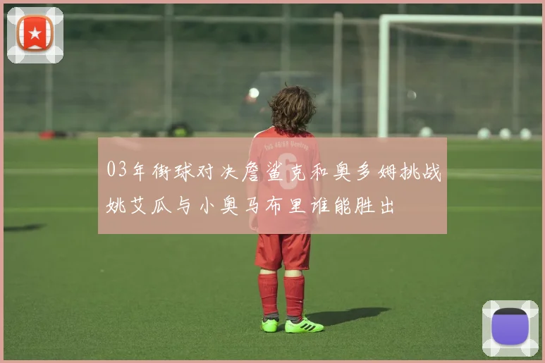 03年街球对决詹鲨克和奥多姆挑战姚艾瓜与小奥马布里谁能胜出