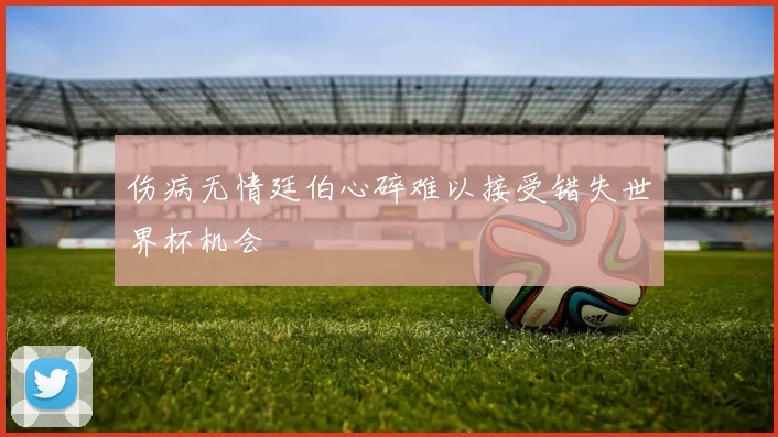 伤病无情廷伯心碎难以接受错失世界杯机会