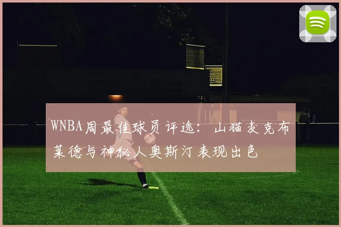 WNBA周最佳球员评选：山猫麦克布莱德与神秘人奥斯汀表现出色