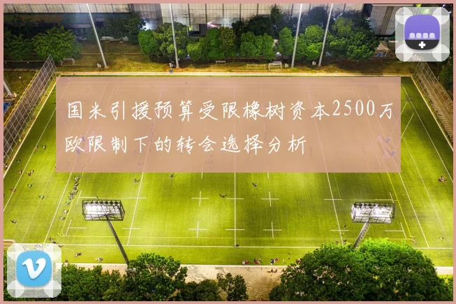 国米引援预算受限橡树资本2500万欧限制下的转会选择分析